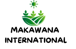 Profile picture of MI