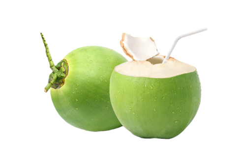 Coconut