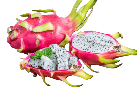 dragon fruit